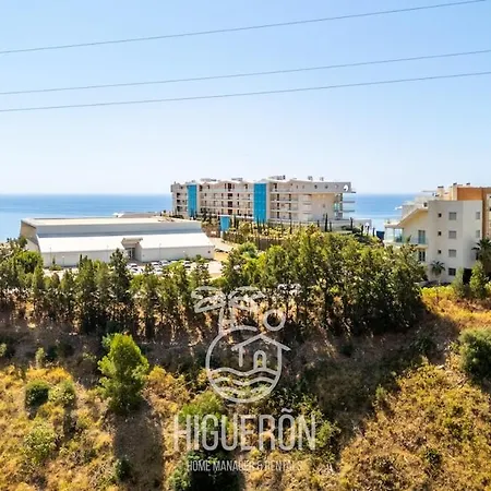 Higueron Luz Del Sur *