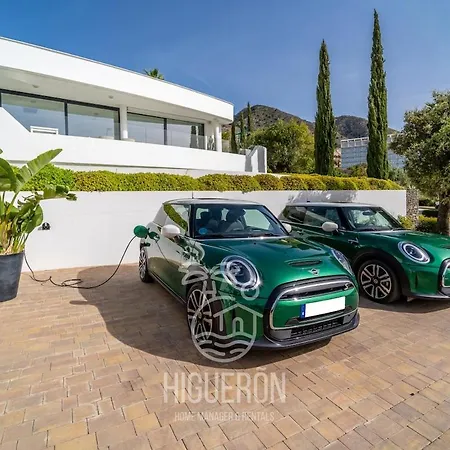 Higueron Luz Del Sur