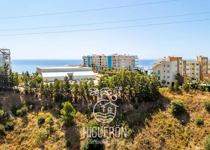 Higueron Luz Del Sur *