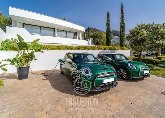 Higueron Luz Del Sur