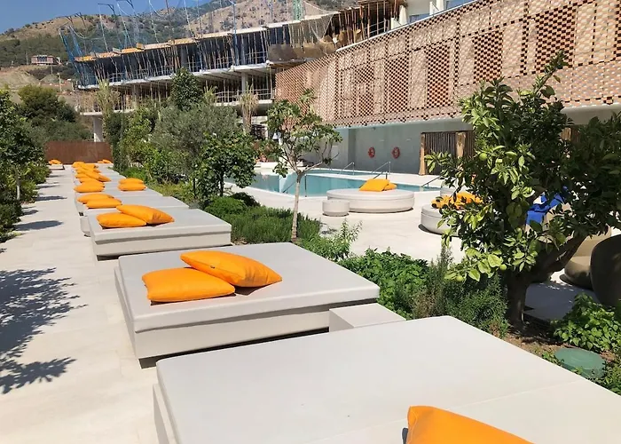 Higueron Luz Del Sur