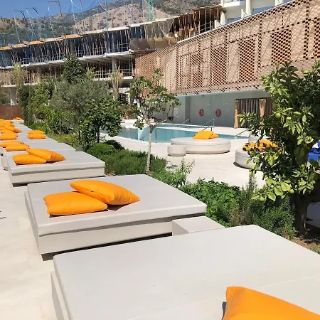 Higueron Luz Del Sur